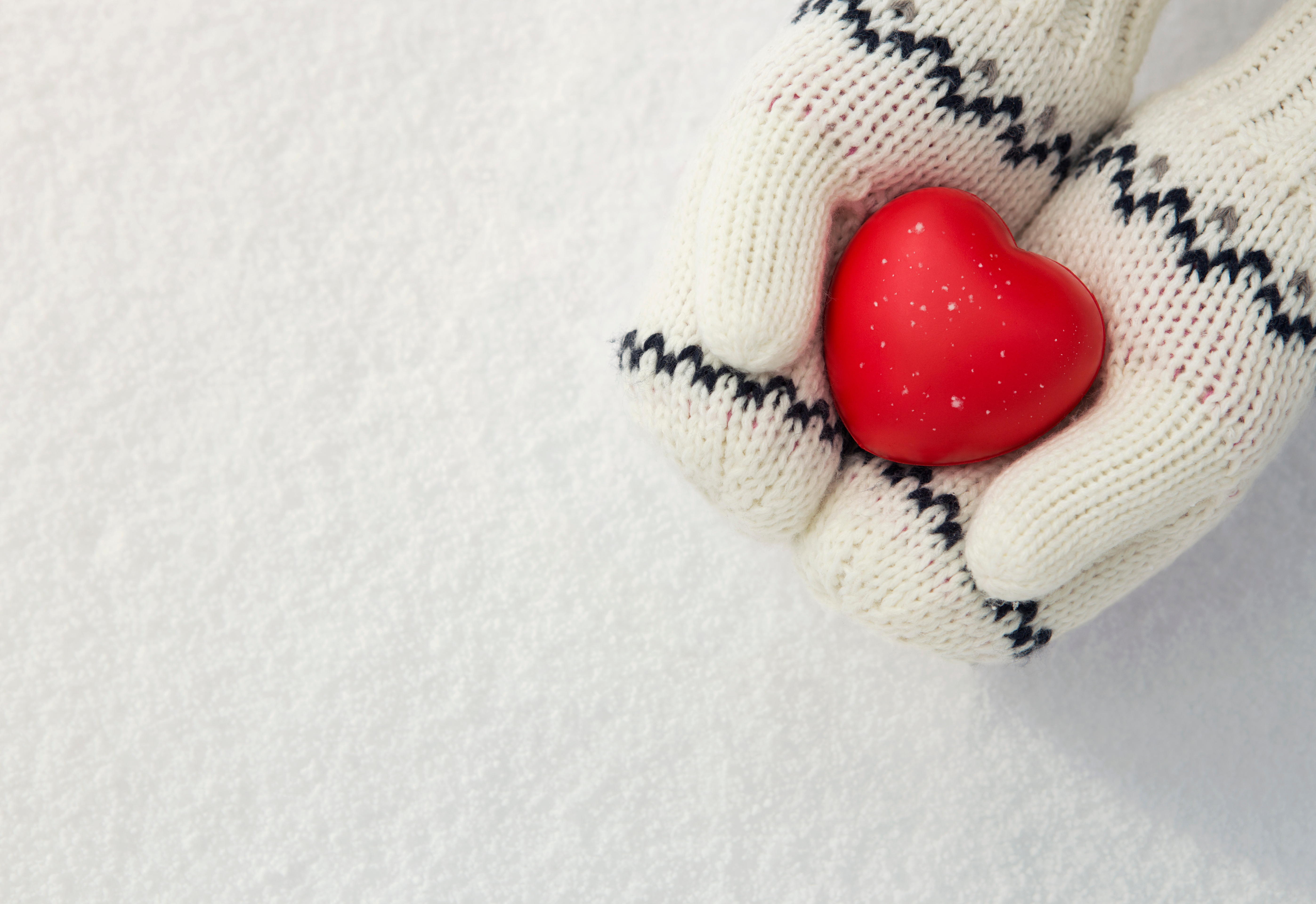 Close up of little girl's hands holding red ru